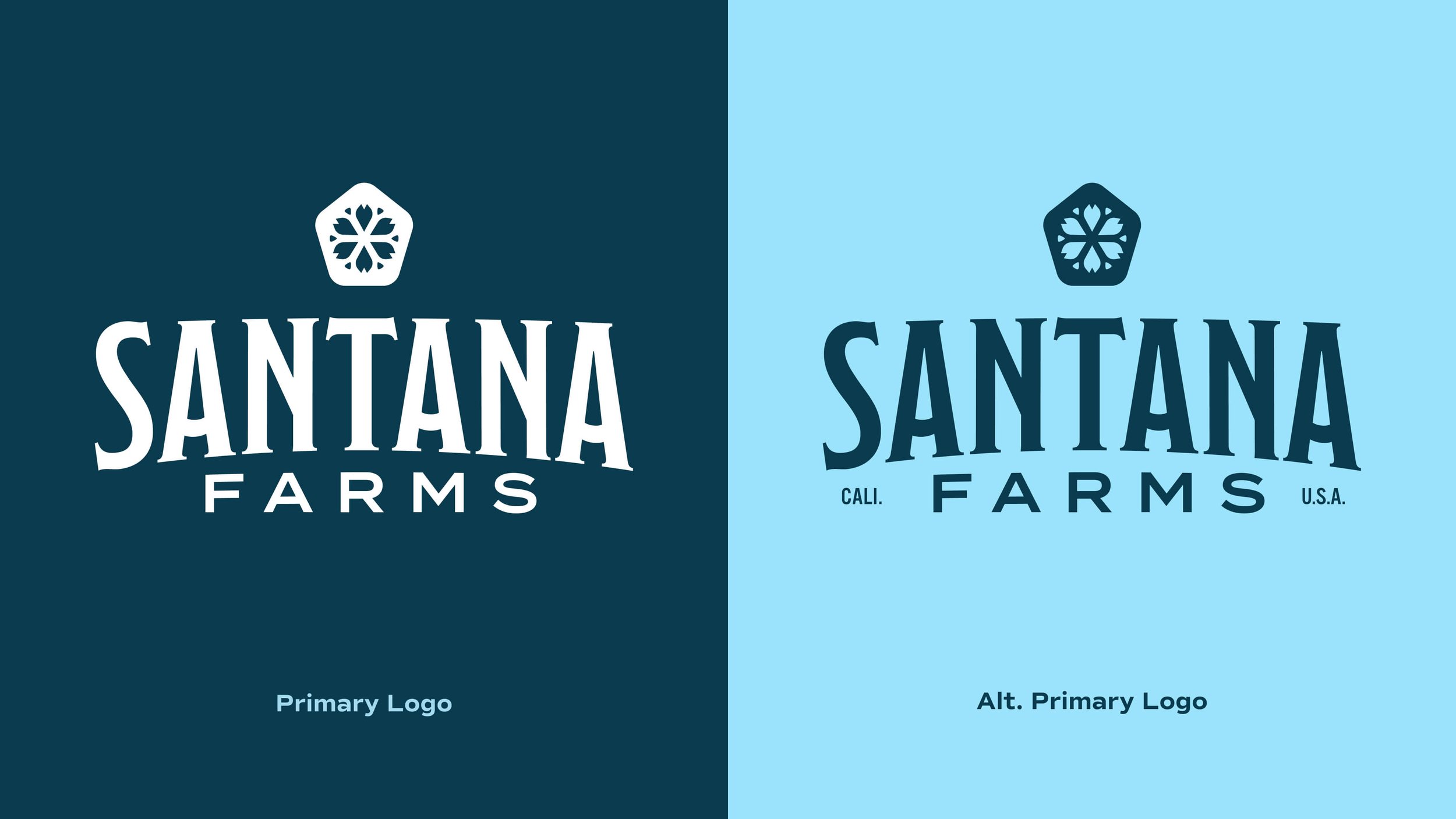Doc-Reed-Brand-Designer-NC-Charlotte-Santana Farms Primary Logo.jpg
