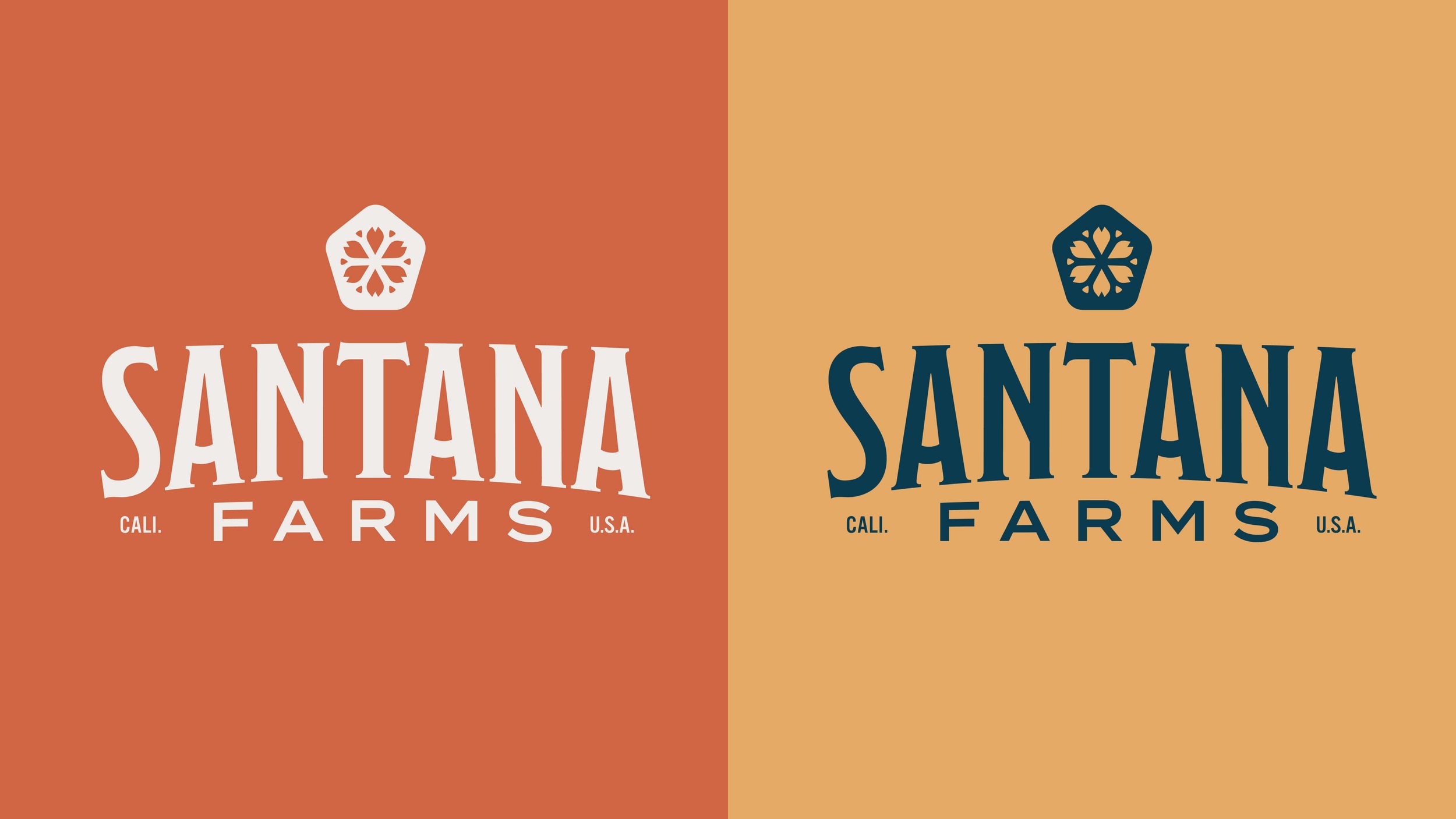 Doc-Reed-Brand-Designer-NC-Charlotte-Santana Farms Primary Logo Colors-1.jpg