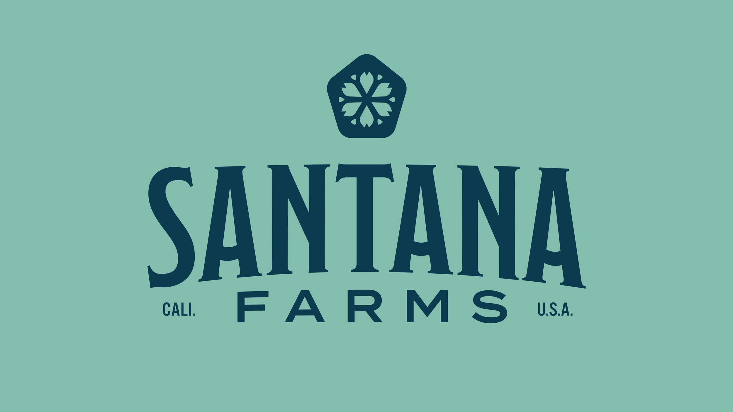 Doc-Reed-Brand-Designer-NC-Charlotte-Santana Farms Primary Logo Colors-2.jpg