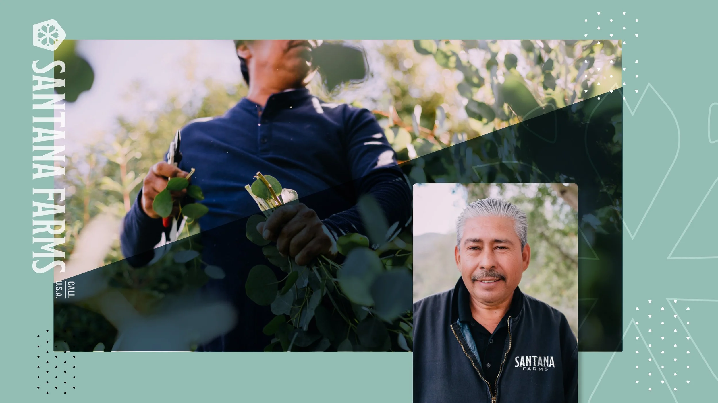 Doc-Reed-Brand-Designer-NC-Charlotte-Santana-Farms-Pattern and Apperal-Frame 15.jpg