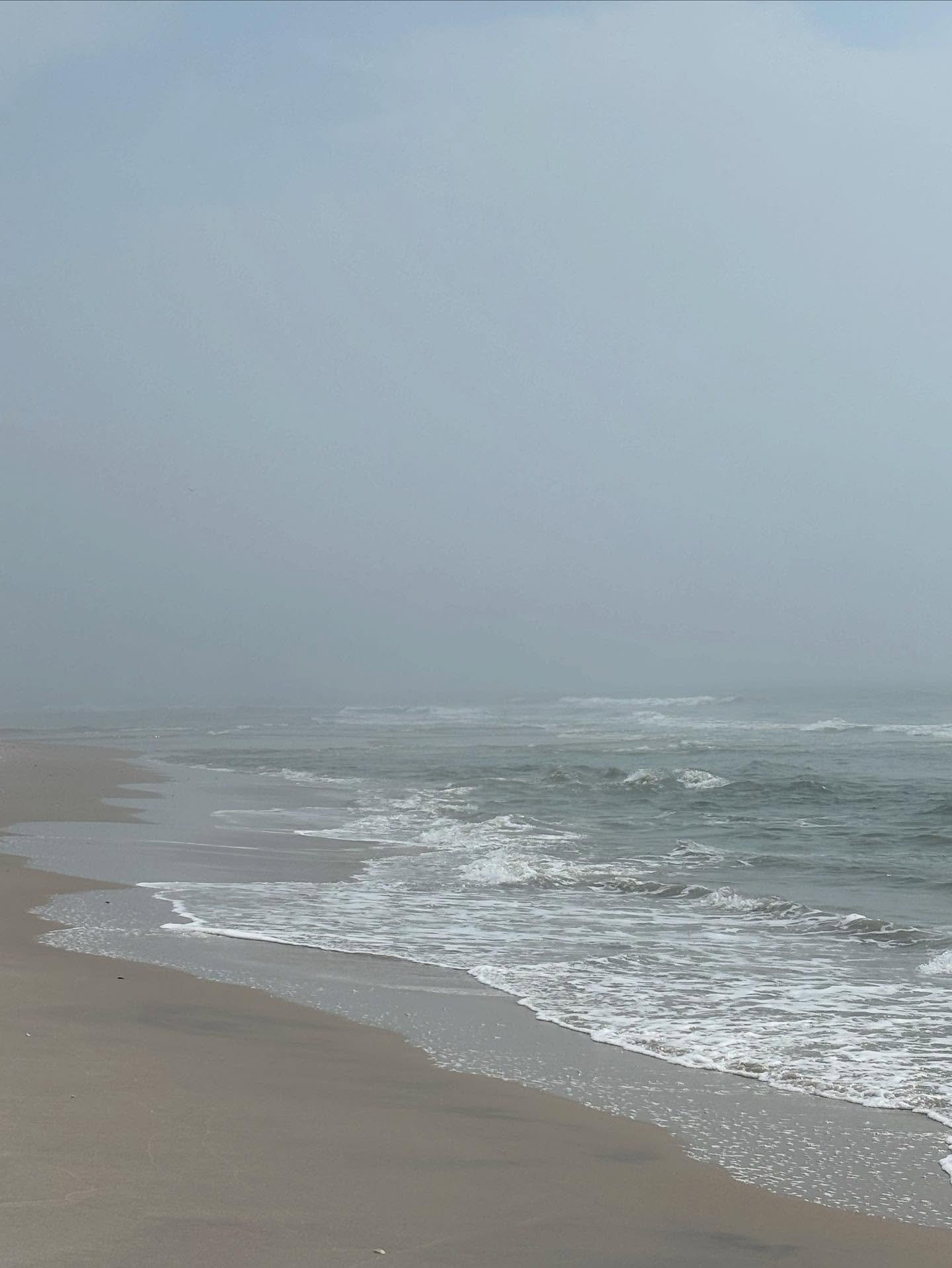 Early morning walk with perfect summer hues on LBI.
&bull;
#beachhavennj #beachhouse #beachhaven #beachlife #beachlifestyle #beach #weddingweekends #ctinteriordesign #ctinteriordesigner #naturallybeautiful #coastalliving #naturallybeautifulliving #ho
