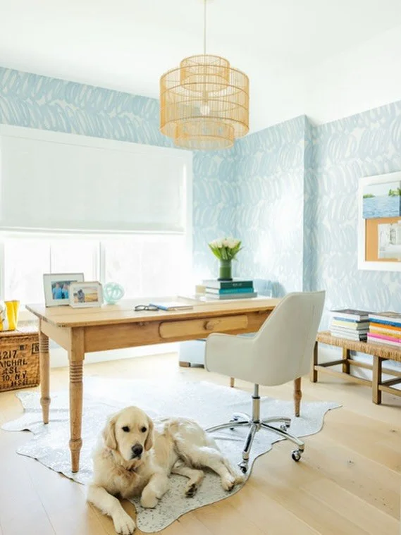 Color, function and an English cream retriever make for the perfect home office in CT!
&bull;
#englishcreamgolden #englishcreamgoldenretriever #goldenretrieverlovers #newenglandlife #beachlife 
#ctliving #ctlifestyle  #ctinteriordesign #ctinteriordes