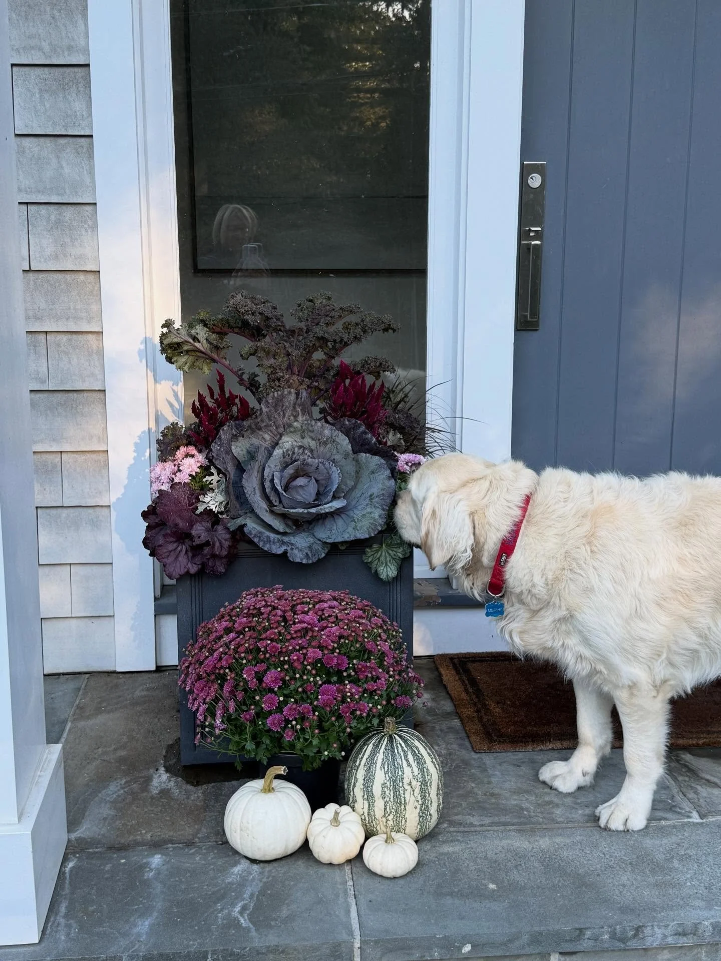 October!
&bull;
#october #octoberroundup #newenglandlife 
#ctliving #ctlifestyle  #ctinteriordesign #ctinteriordesigner #naturallybeautifulliving #naturallybeautiful #housebeautiful #interiordesign #interiordecor #ctinteriordesigner #athome #westport
