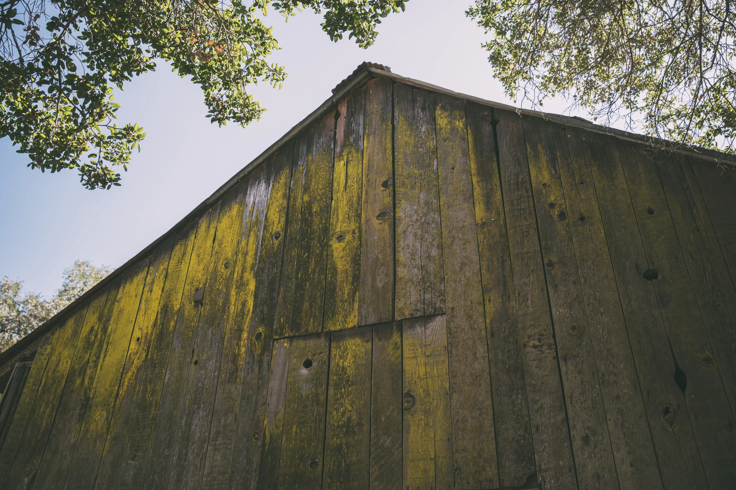 Reynoso Family Vineyards