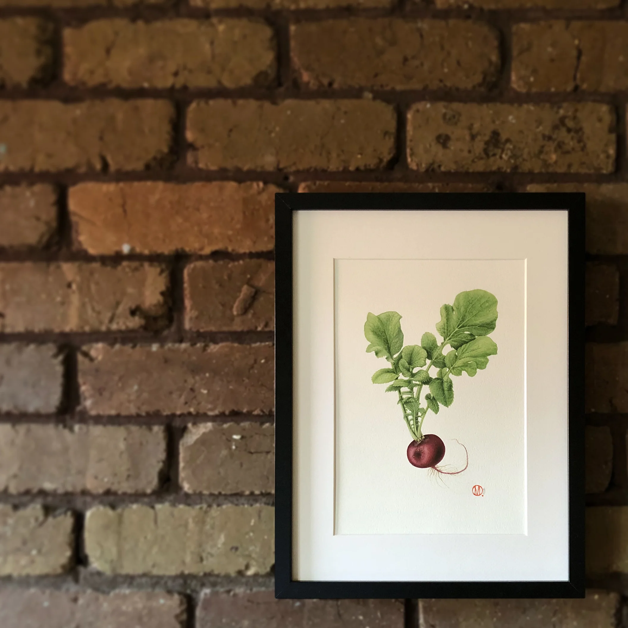 Lady Radish