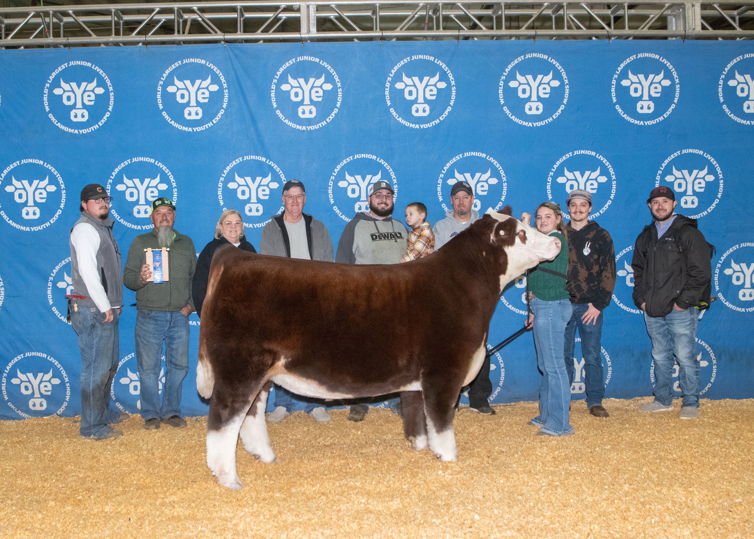 Class Winner and 4th overall Hereford Steer