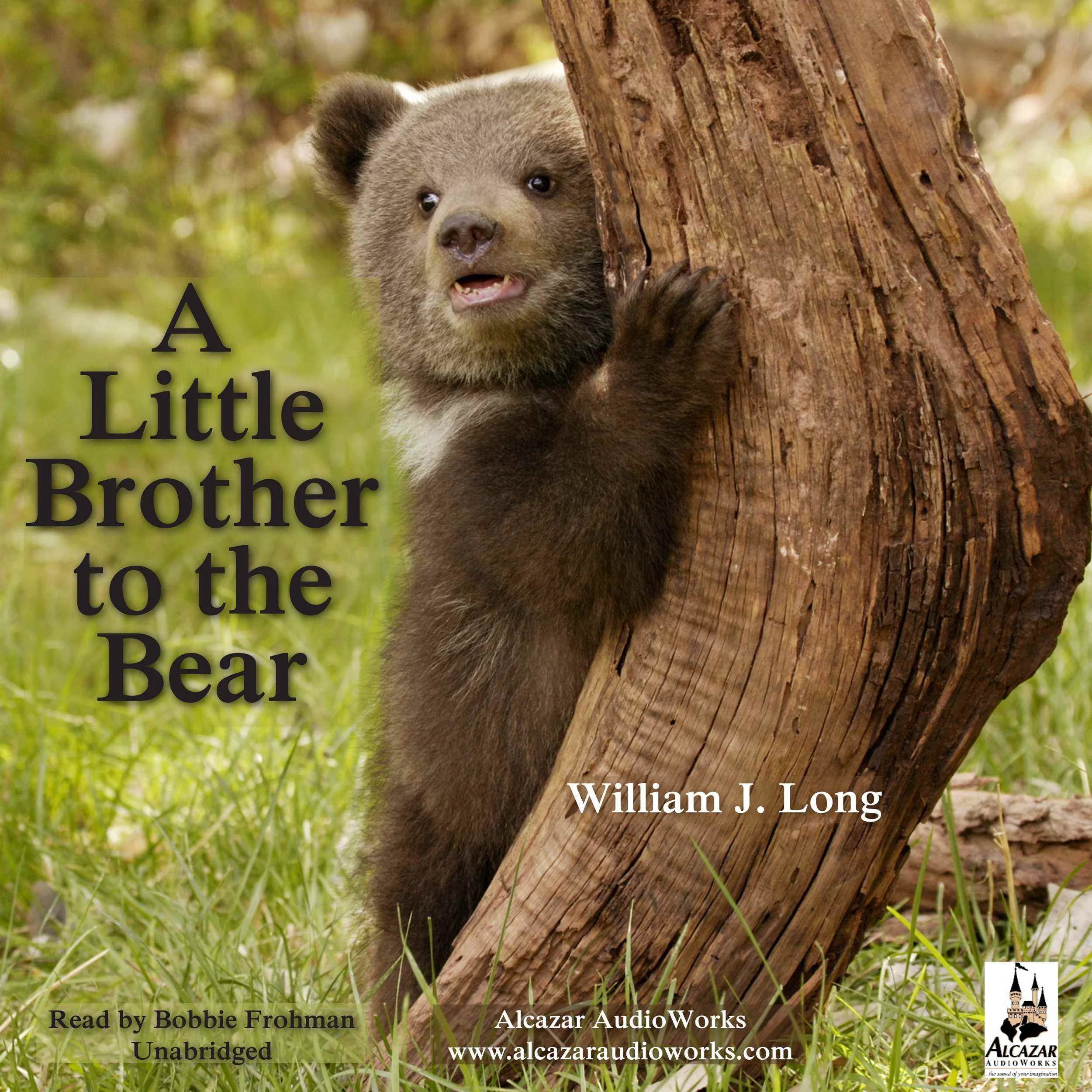 LittleBrotherBear_9780986007514.jpg
