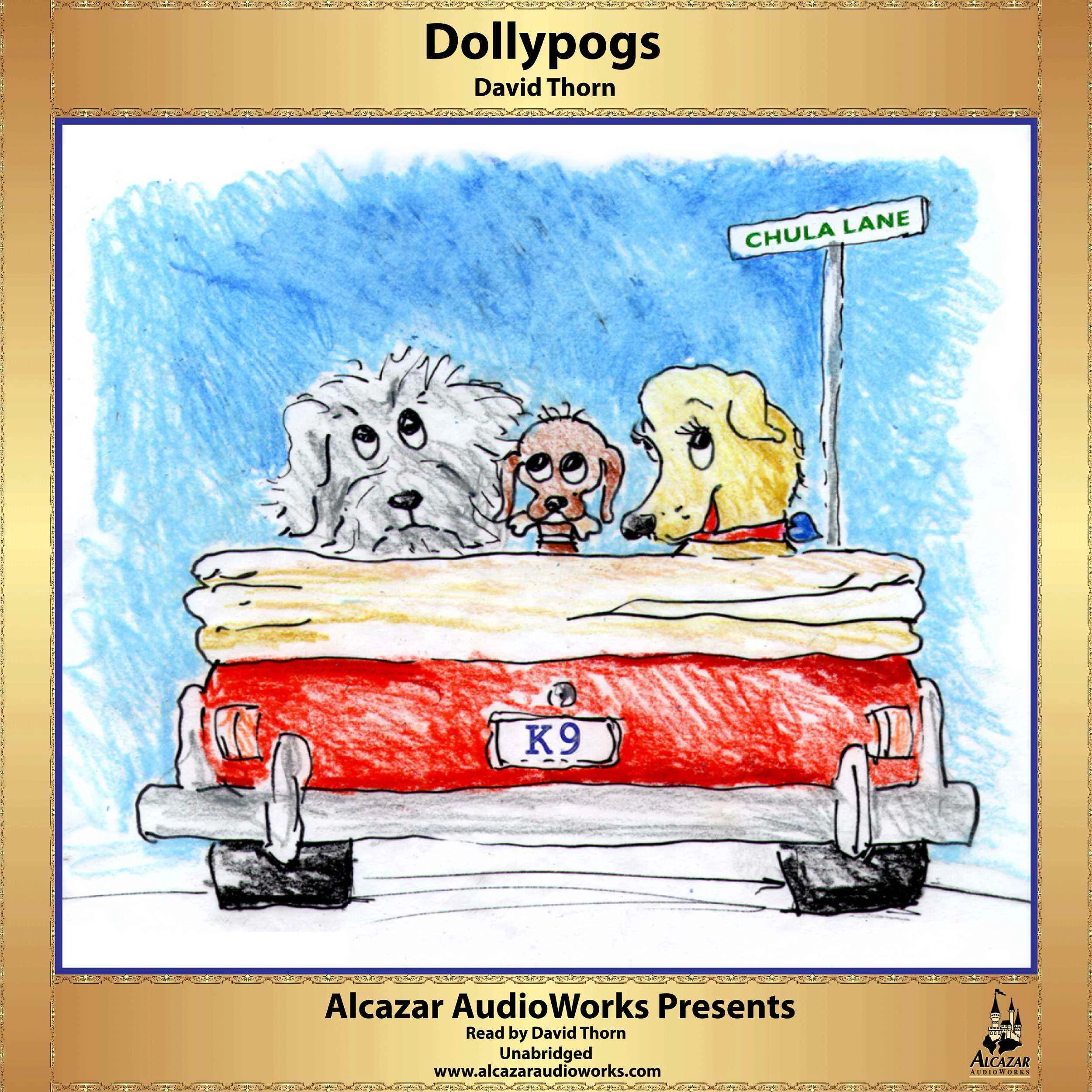 AAP_Dollypogs_9780972499583.jpg