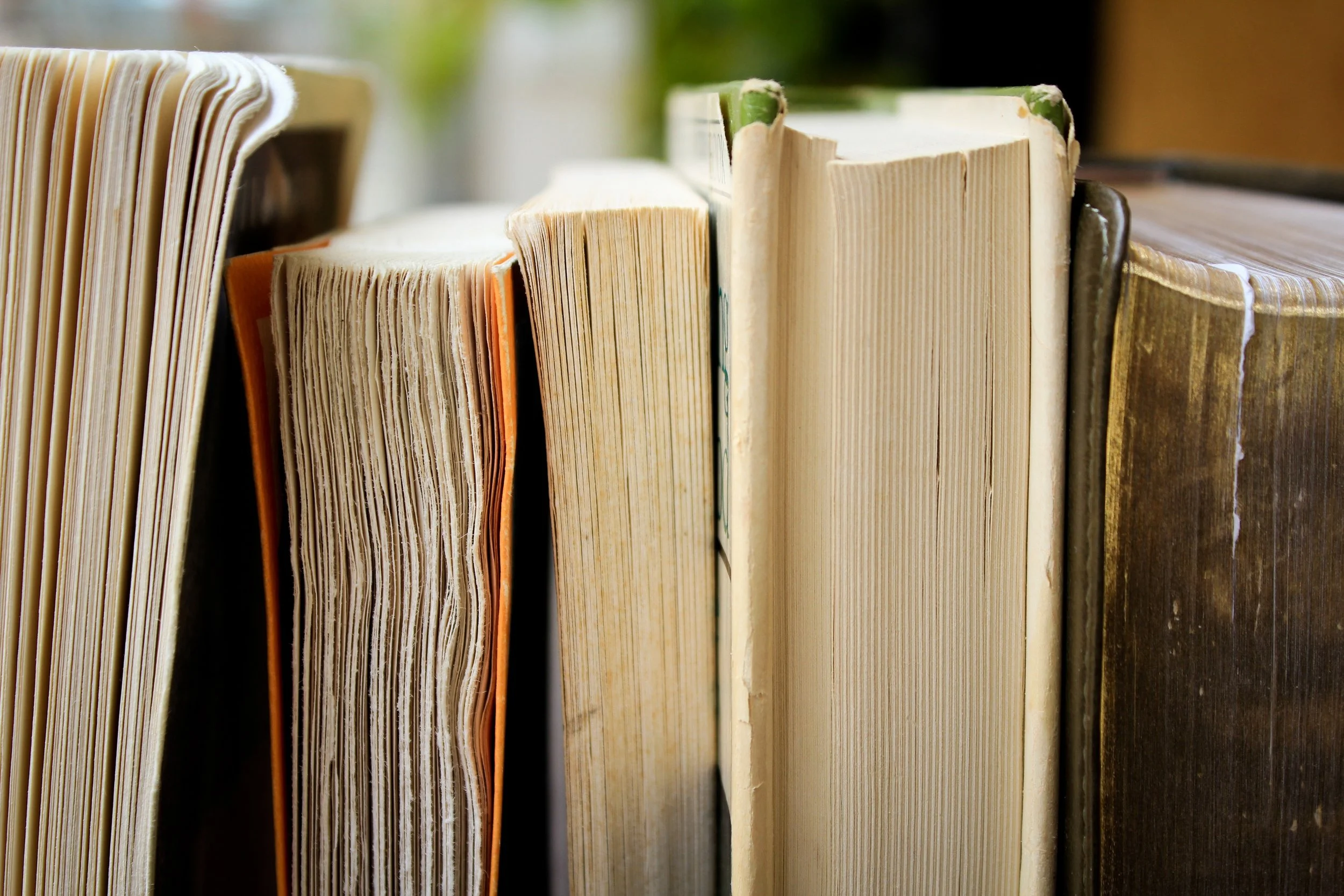 Click on the titles of the books below to find out the best way to purchase!