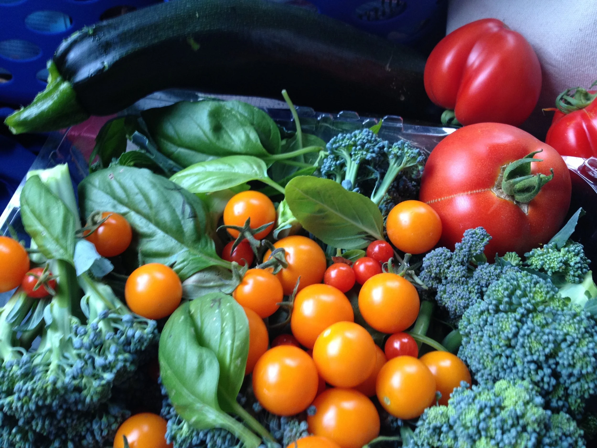 just like all healthy diets your main focus should be fresh vegetables