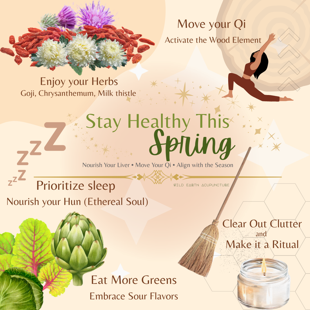 Stay Healthy This Spring with Traditional Chinese Medicine — Wild Earth ...