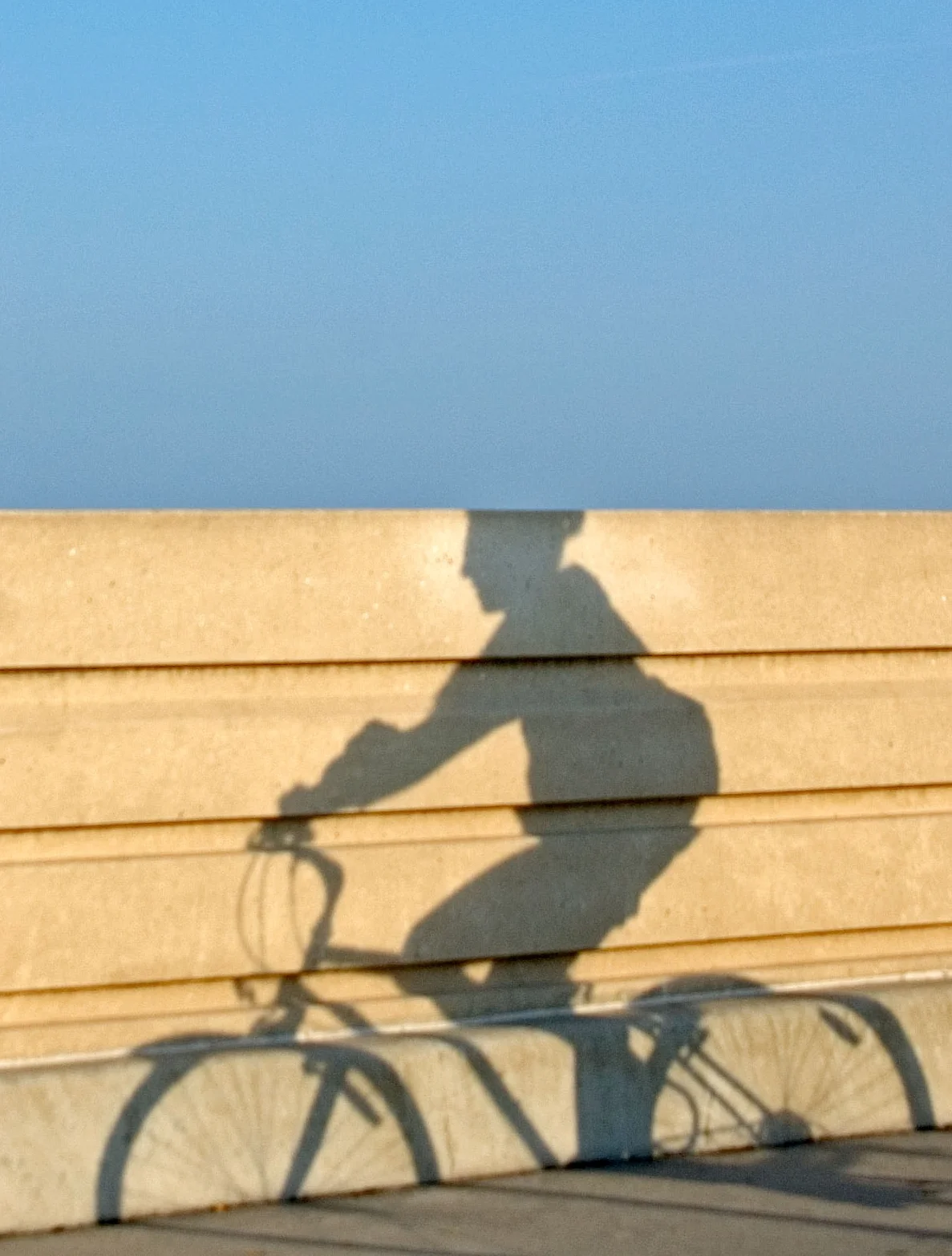 Lake Shore path - biker 5.jpg
