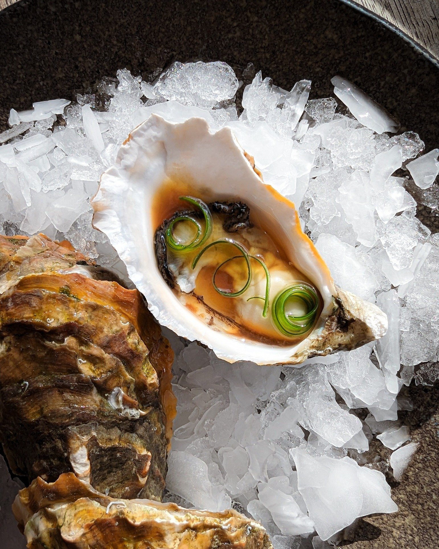 We&rsquo;ve got two new specials this weekend at Pearl + Co!
.
The first features these beautiful Golden Oysters from @melshell_oysters located on Tassie&rsquo;s East Coast.  Named for their distinct shell colouration, we&rsquo;re serving them up wit