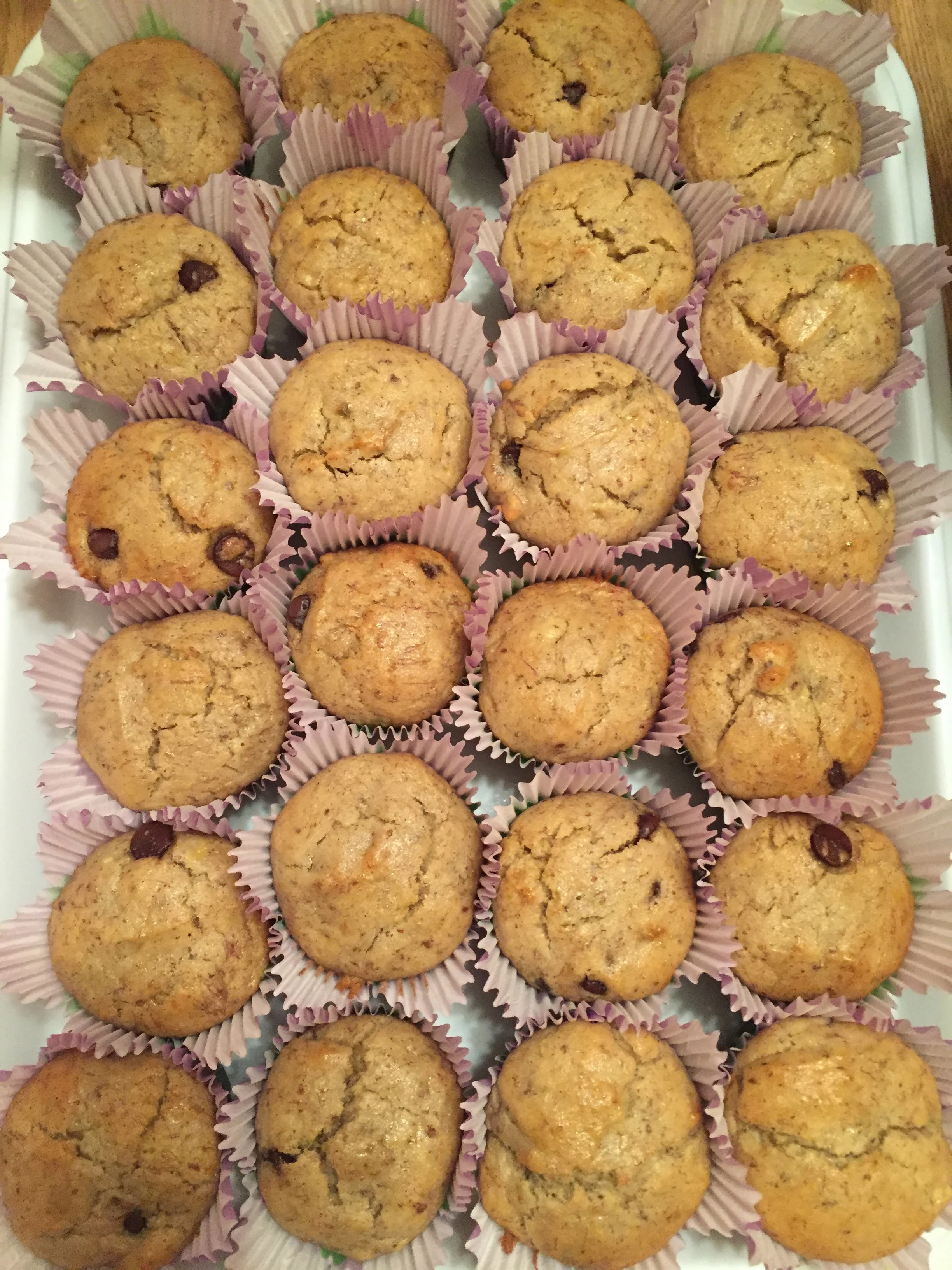 GF Banana Chocolate Chip