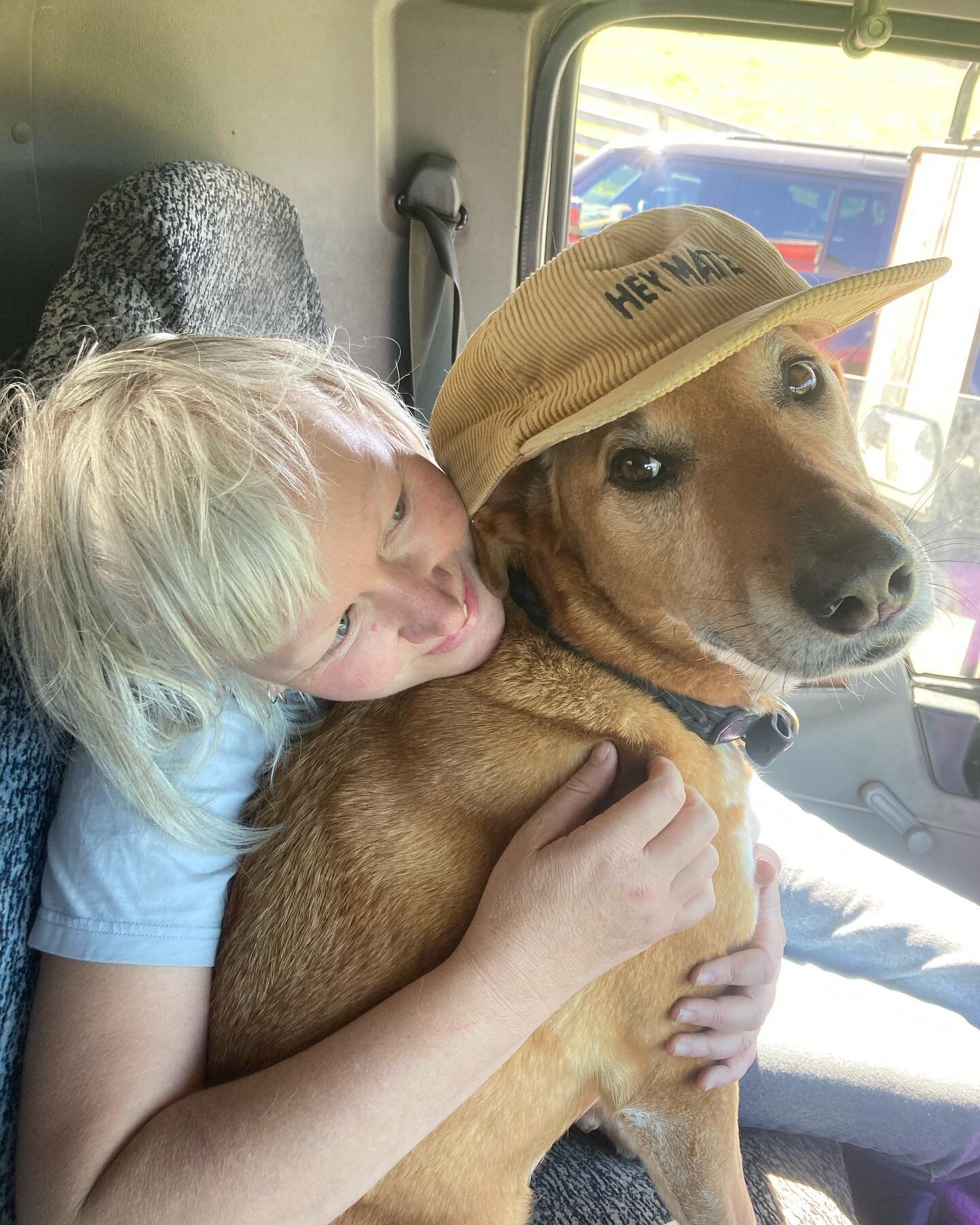 Amanda - our bookings manager and lily - our mascot. Two of the greatest minds to step foot inside a truck