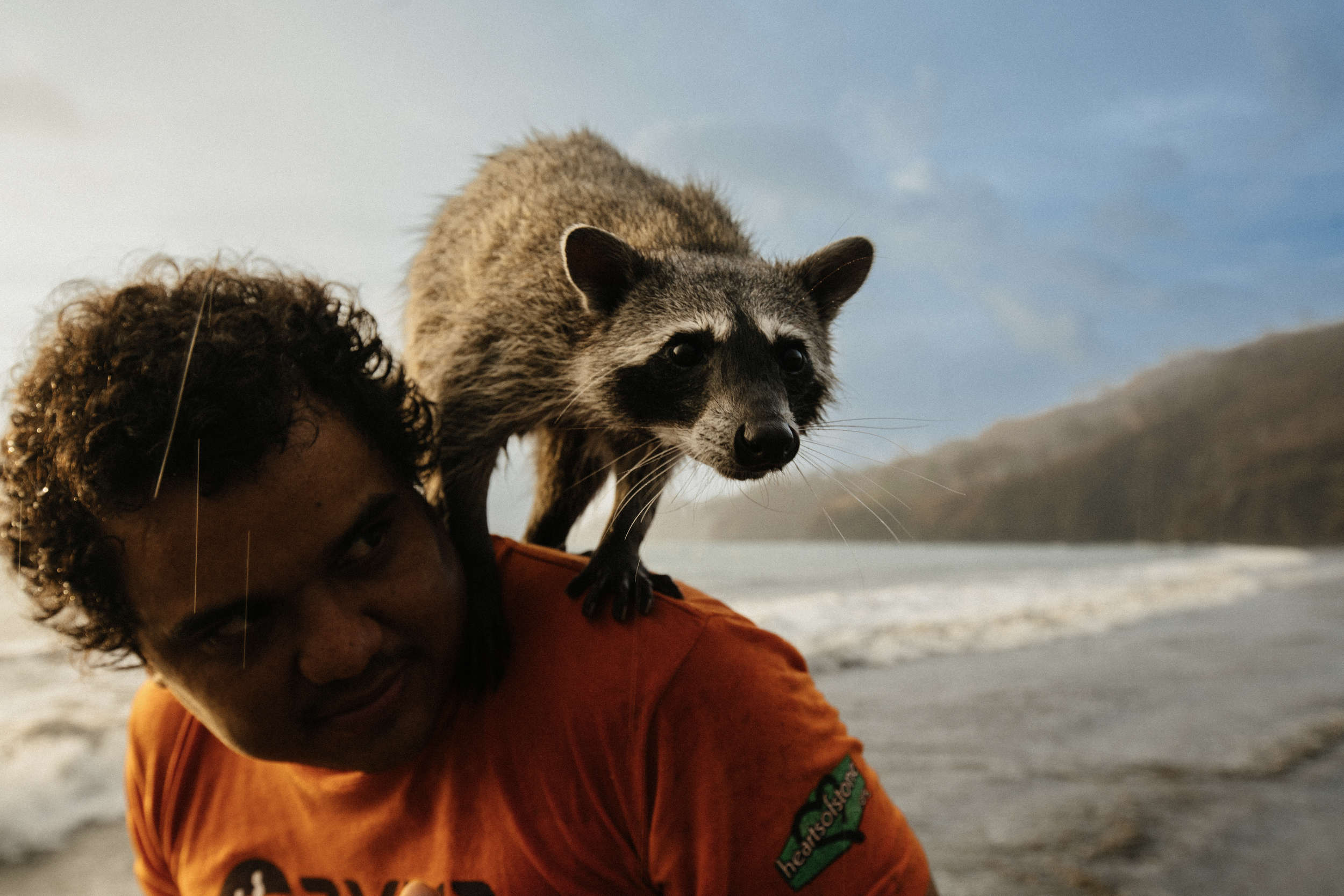 Screen Shot 2022-11-28 at 2.10.38 PM.png