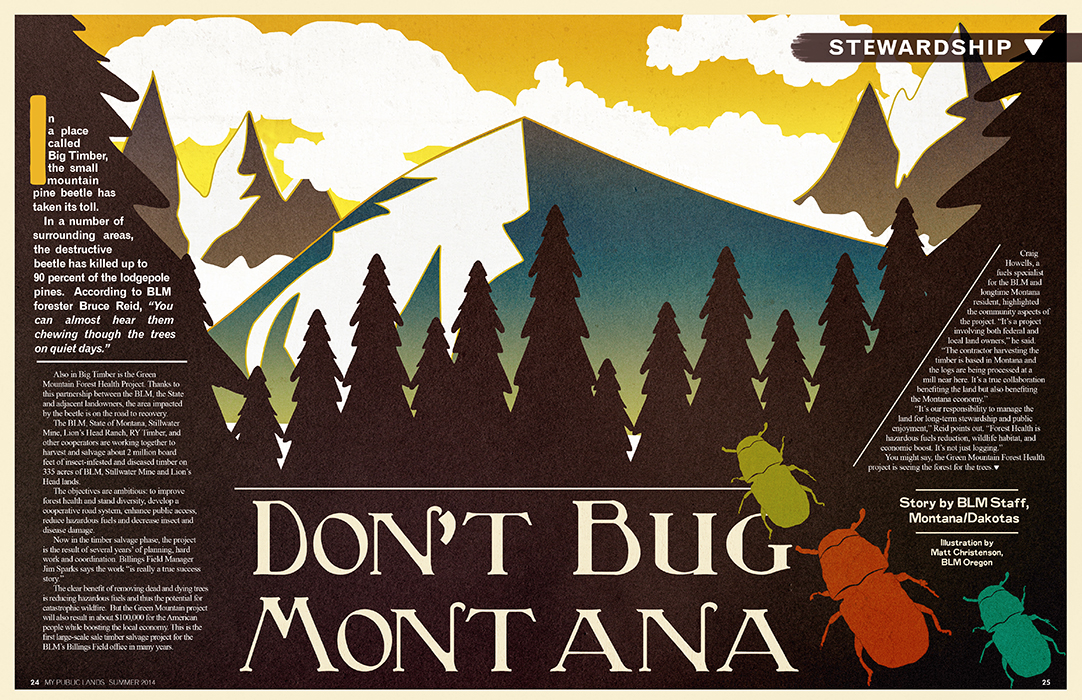 Bug_Montana_web.jpg