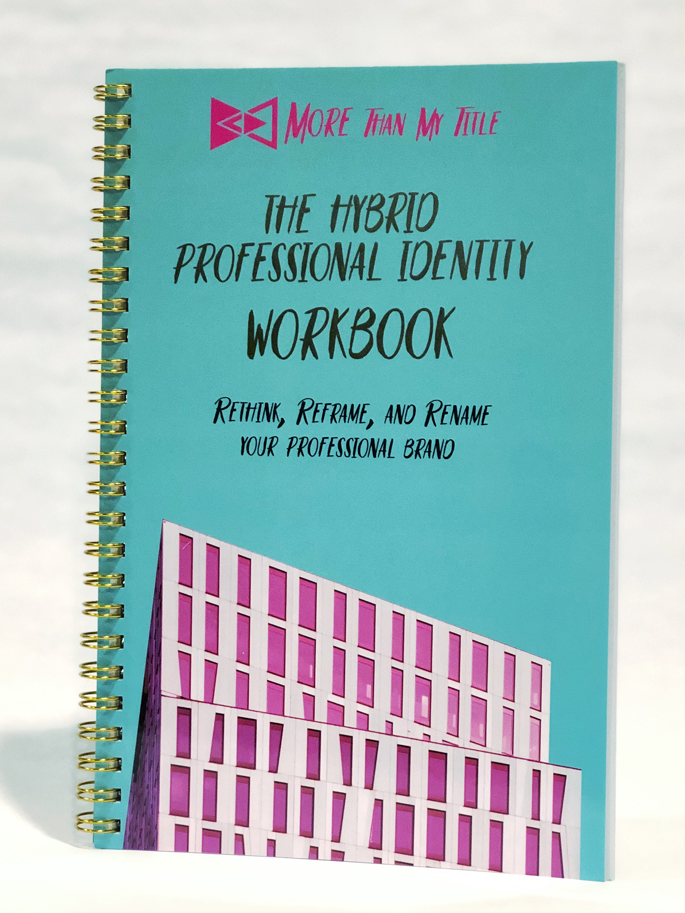 hybrid professional workbook cover pic.jpg