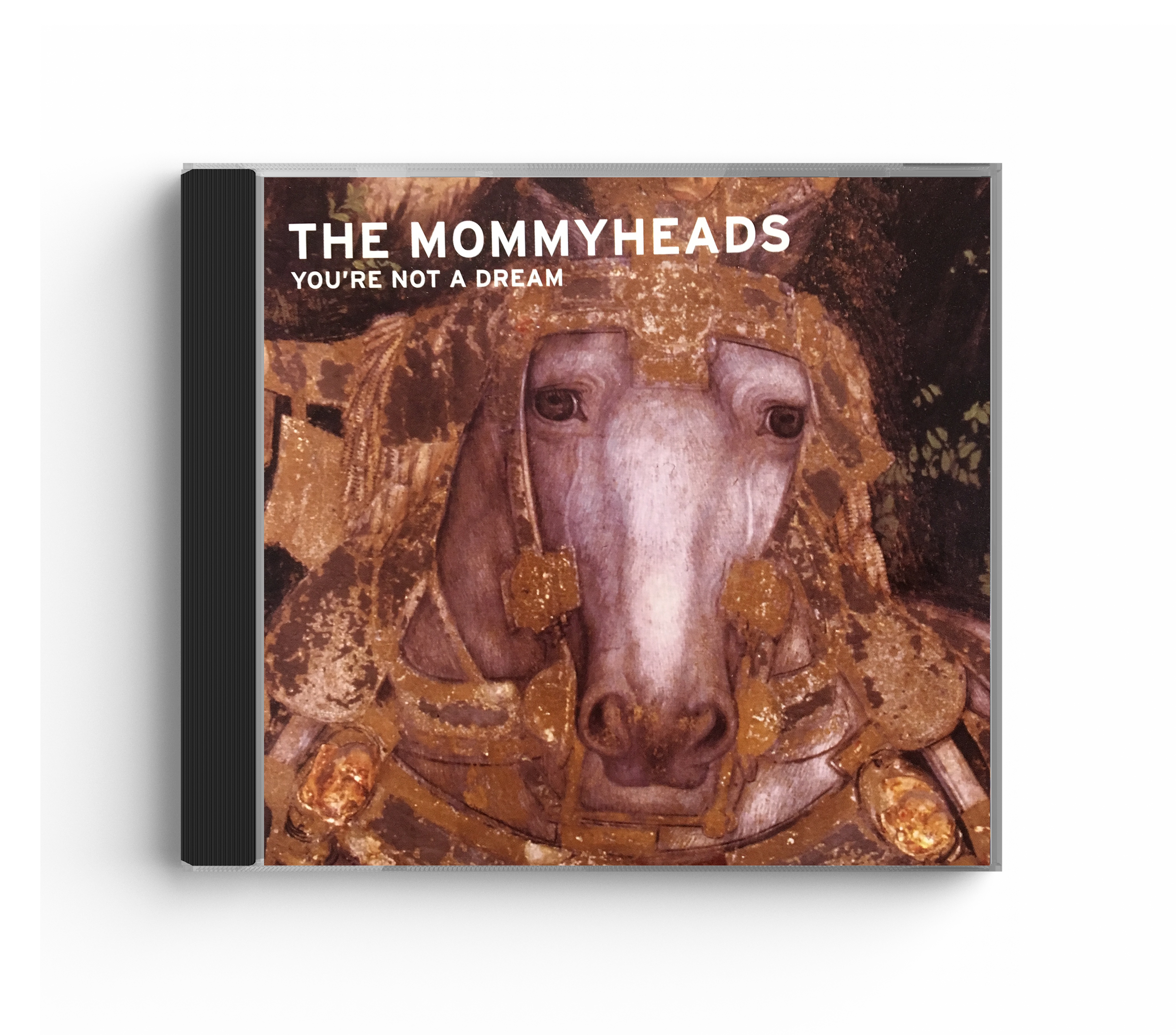 YoureNotADreamCD.png