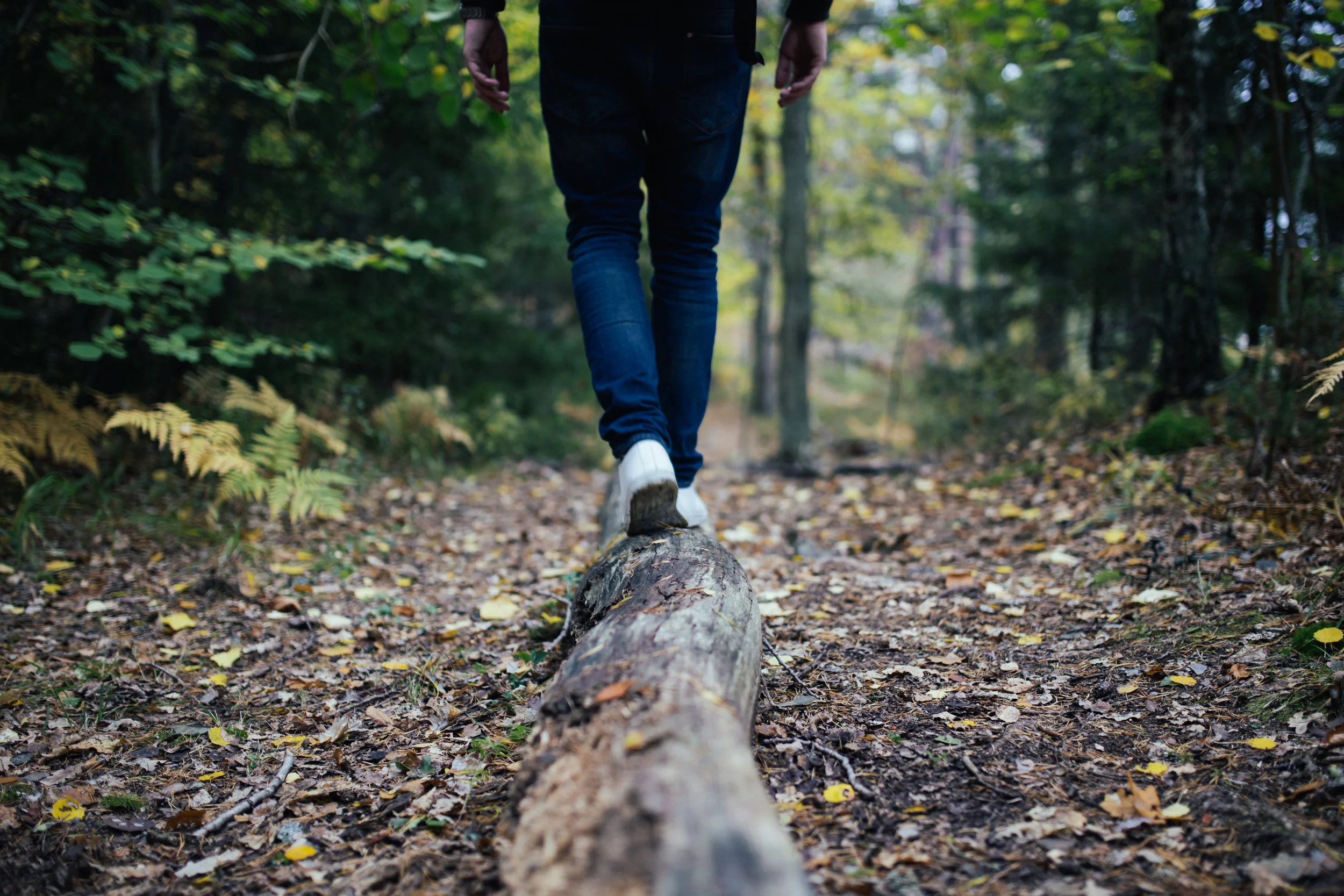 Need help find to your balance? I’m here for you.