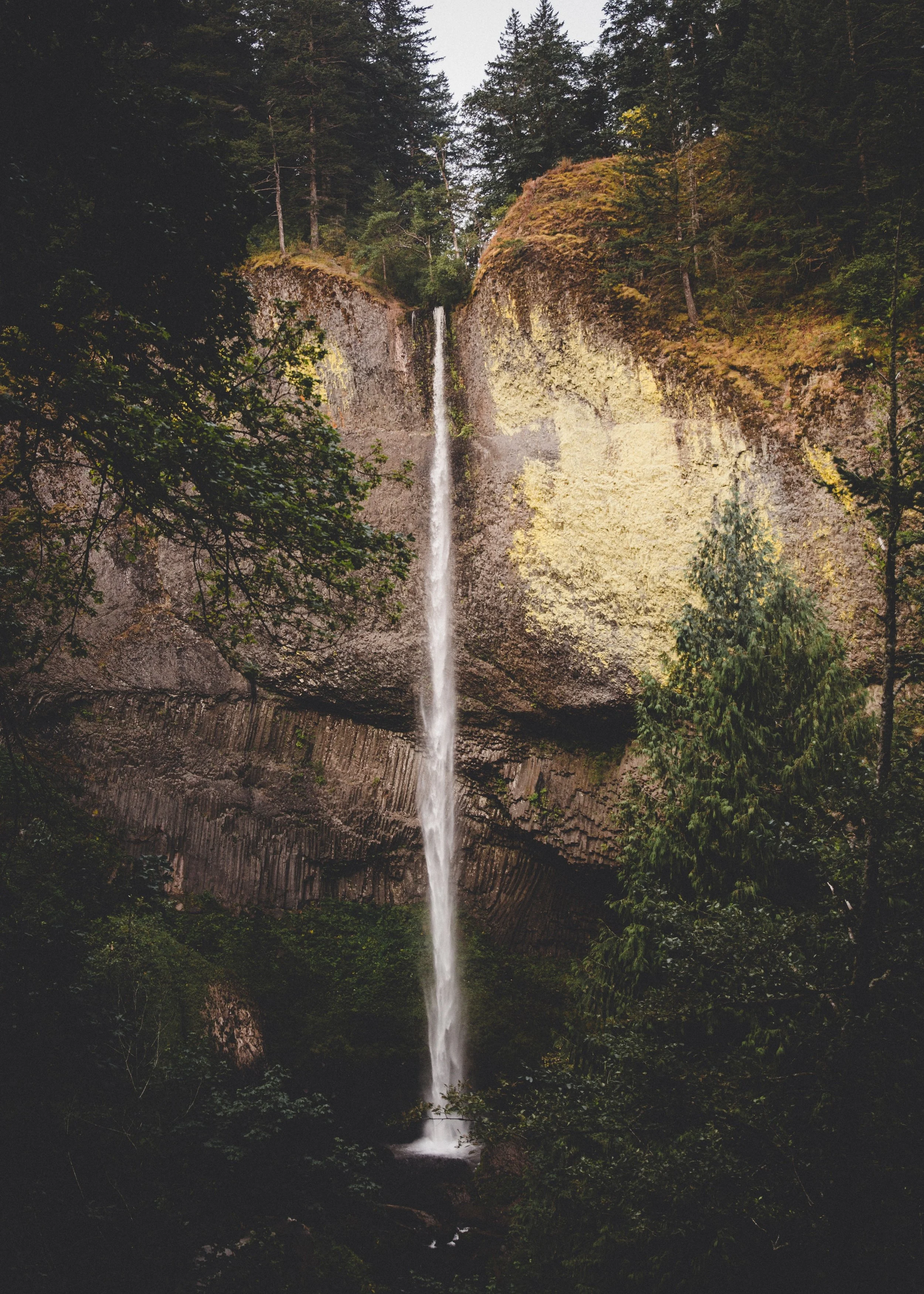 easton-oliver-569384-unsplash.jpg