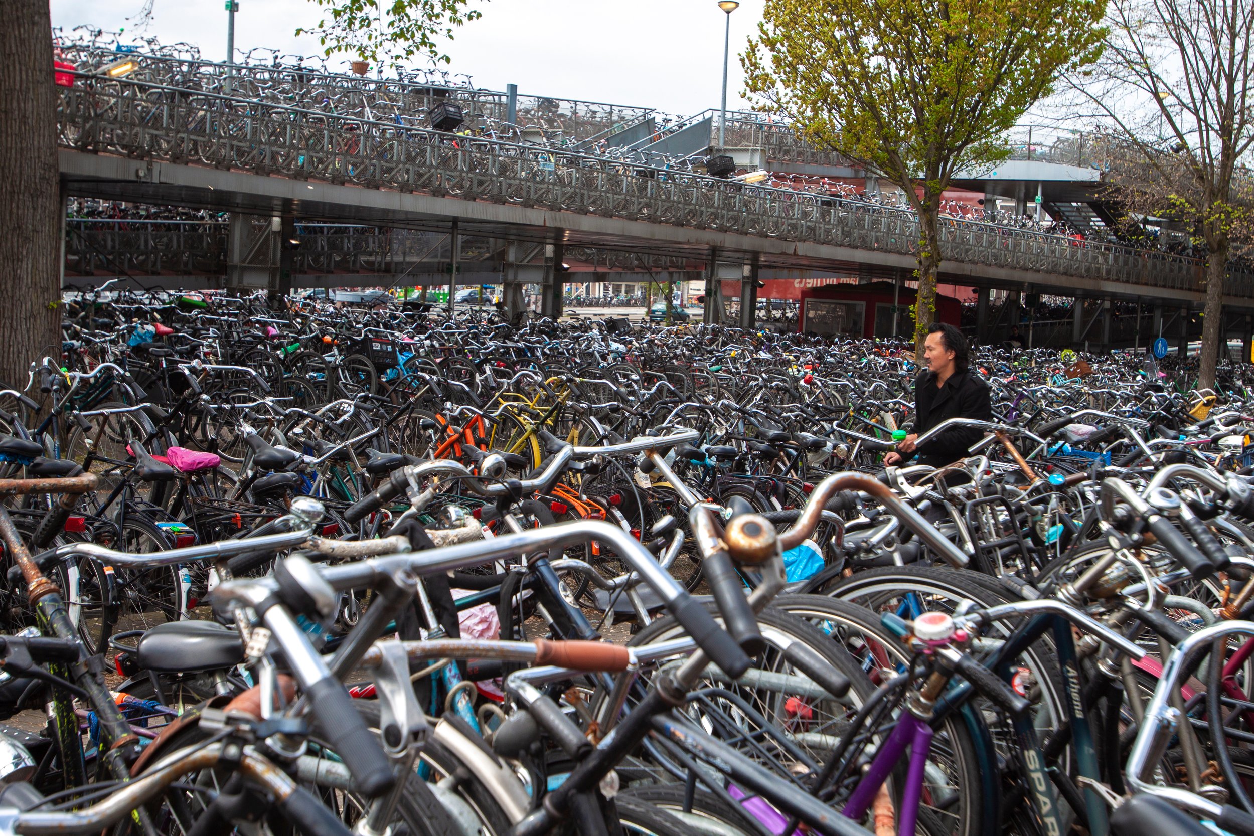 International Cycling Law: Amsterdam
