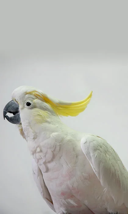 51.jpg
