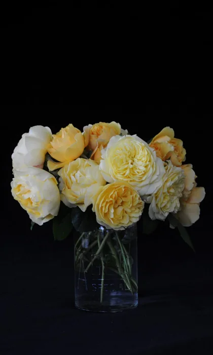 DSC_1926_sml.jpg