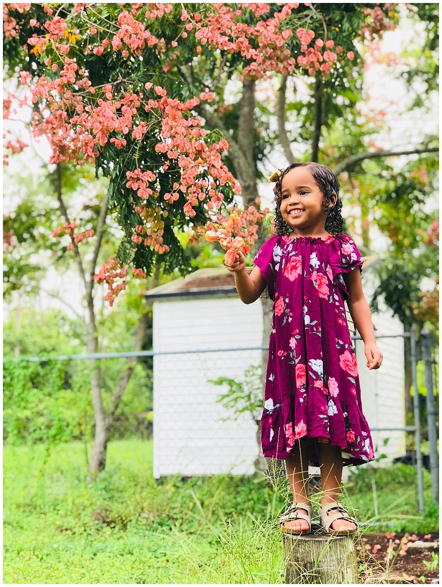 This is my 4-year-old daughter. I simply wanted a cute photo of her in front of this pretty tree with pink blossoms that’s in our backyard.