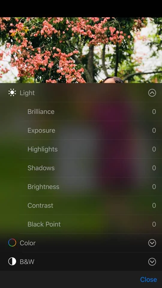 dropdown options.jpg