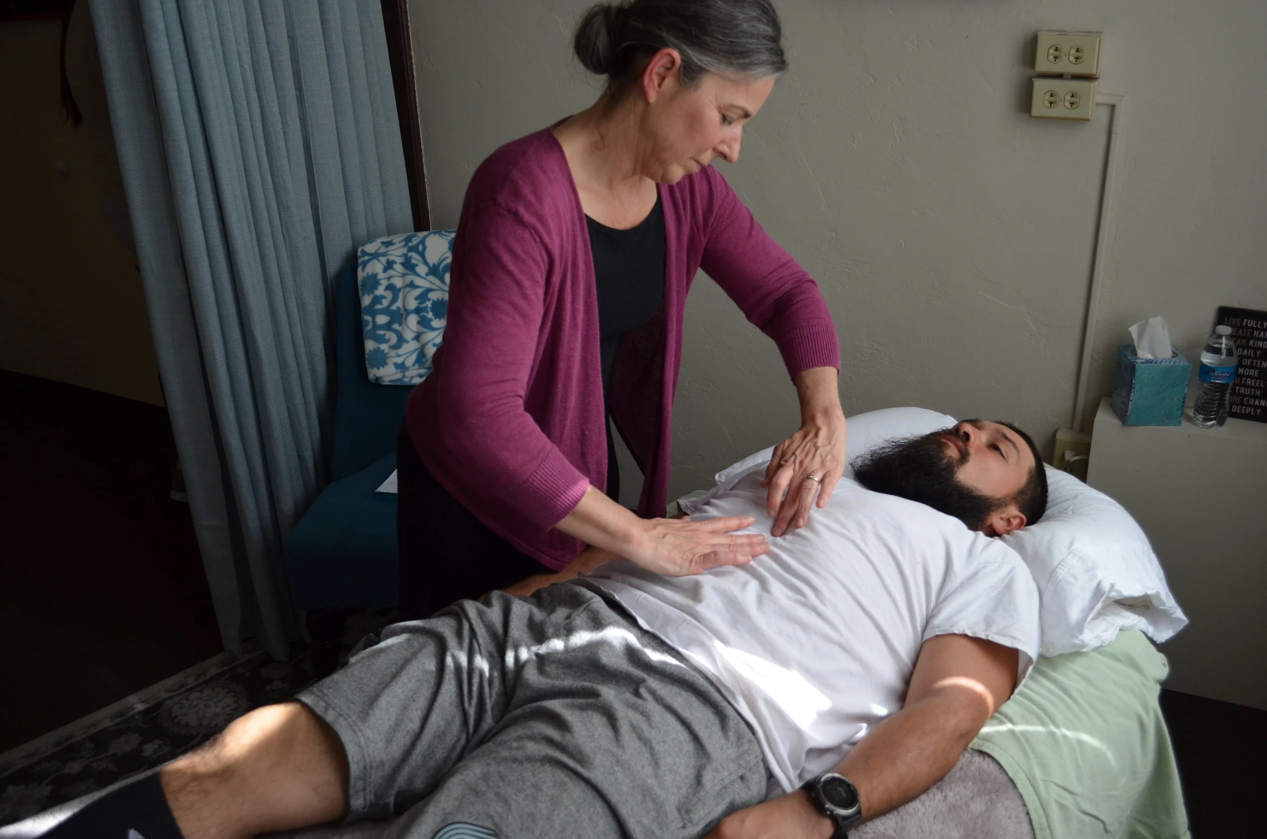 Bowenwork: An Introduction to Wellness in Your Hands 