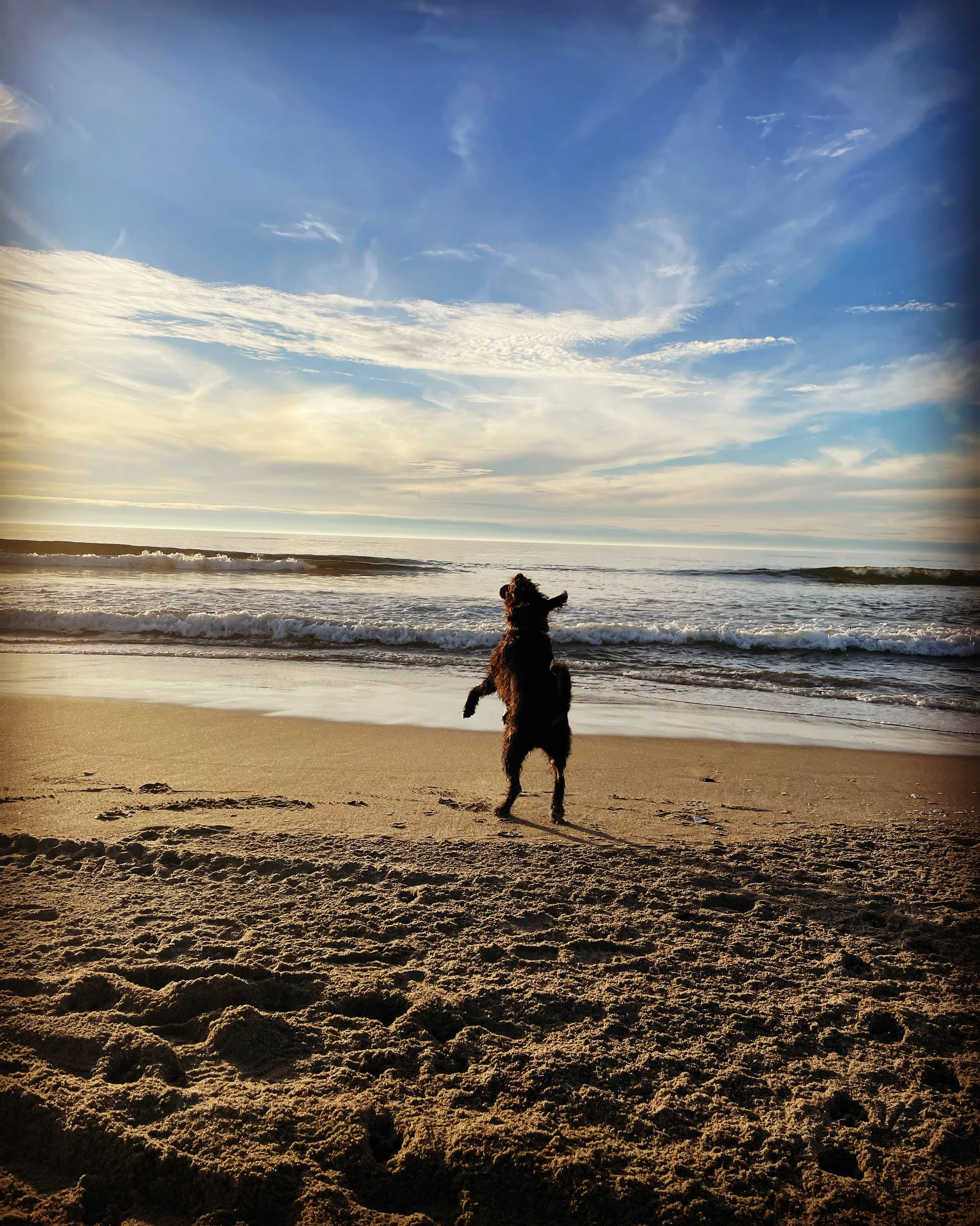 Existing Client Gift Certificate