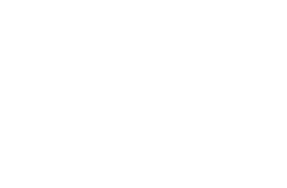 Porsche.png