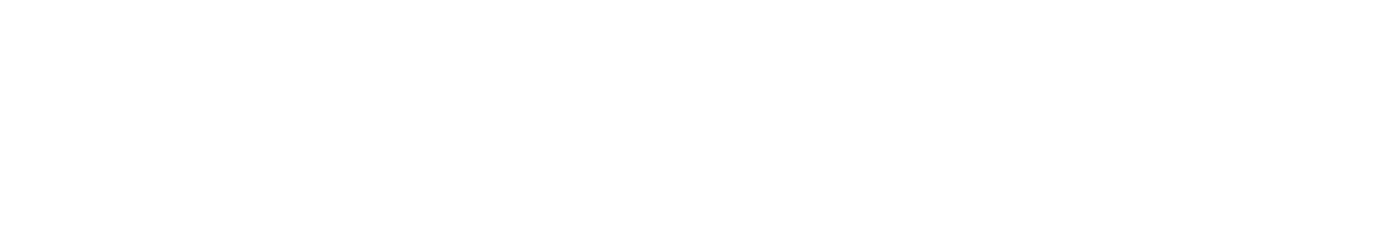 Sony.png