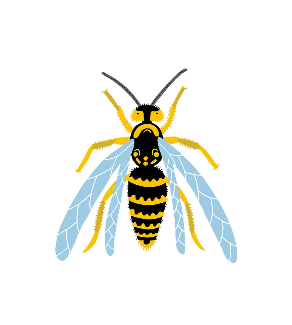 wasp.jpg