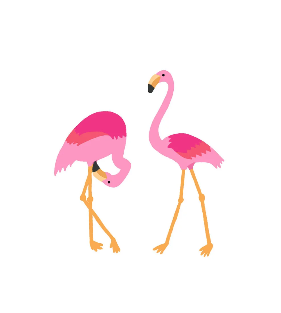 flamingo.jpg