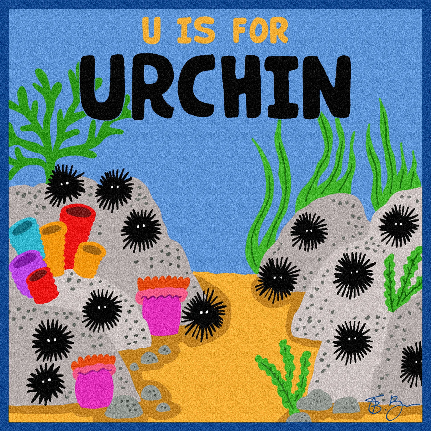 urchinsquare.jpg