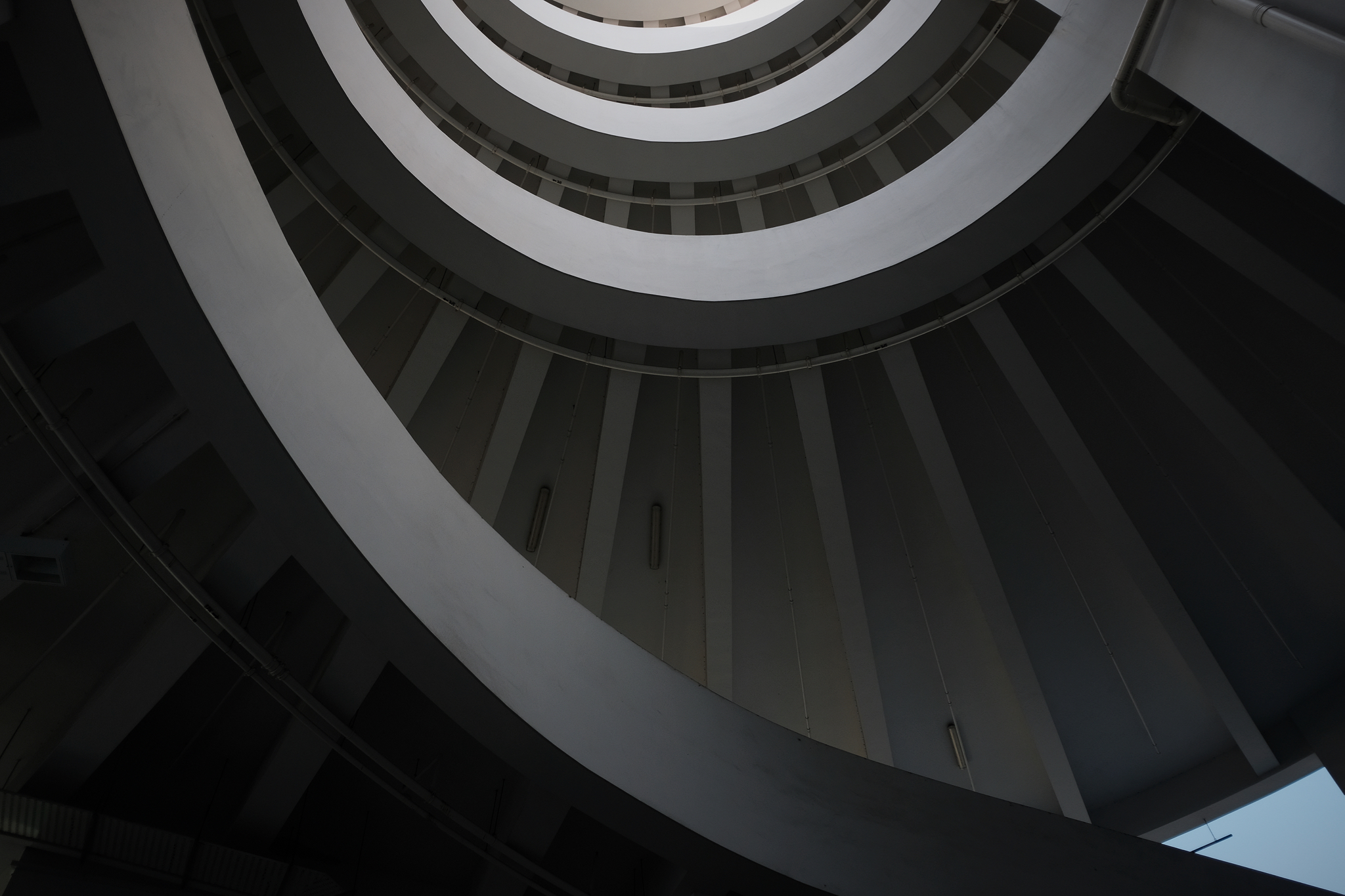 OINK1416.jpg