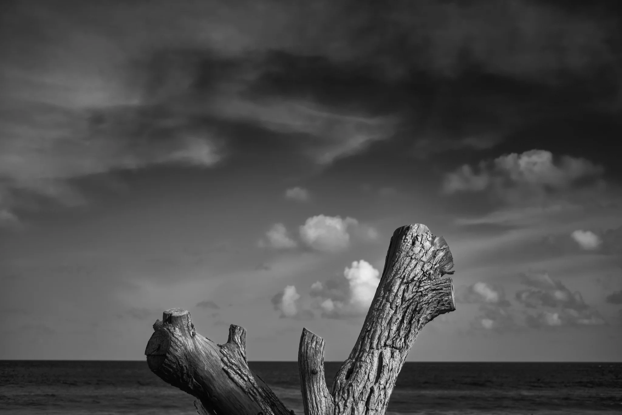 DSCF8937.jpg