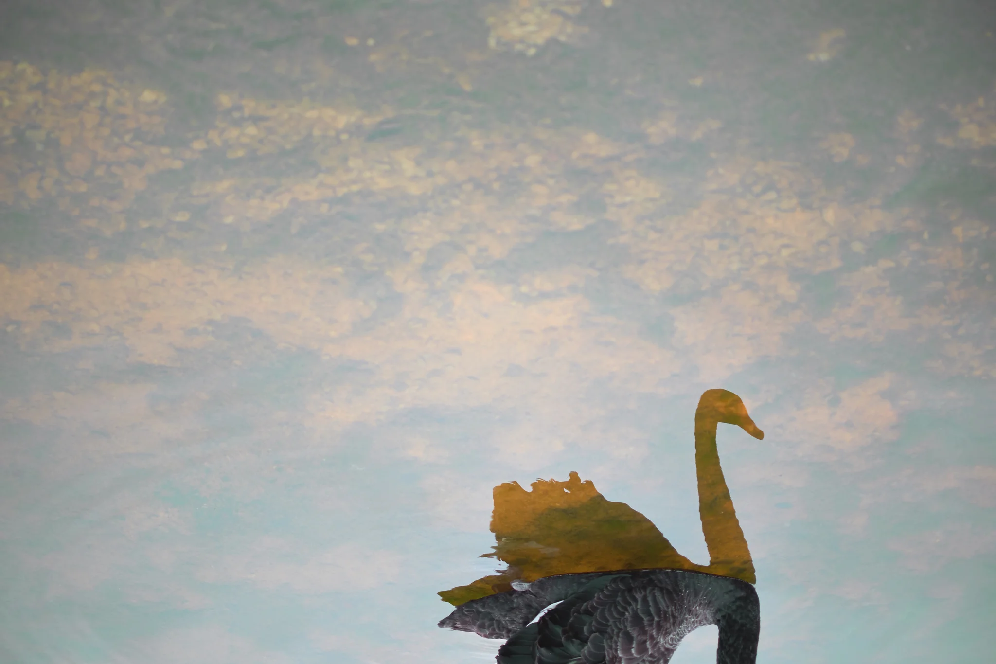 DSCF3675.jpg