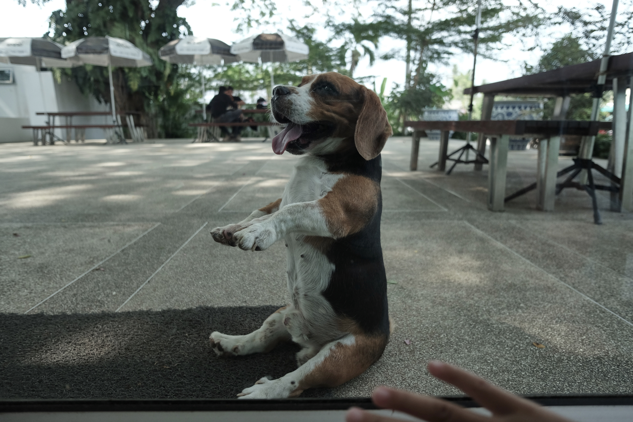 DSCF9606.jpg