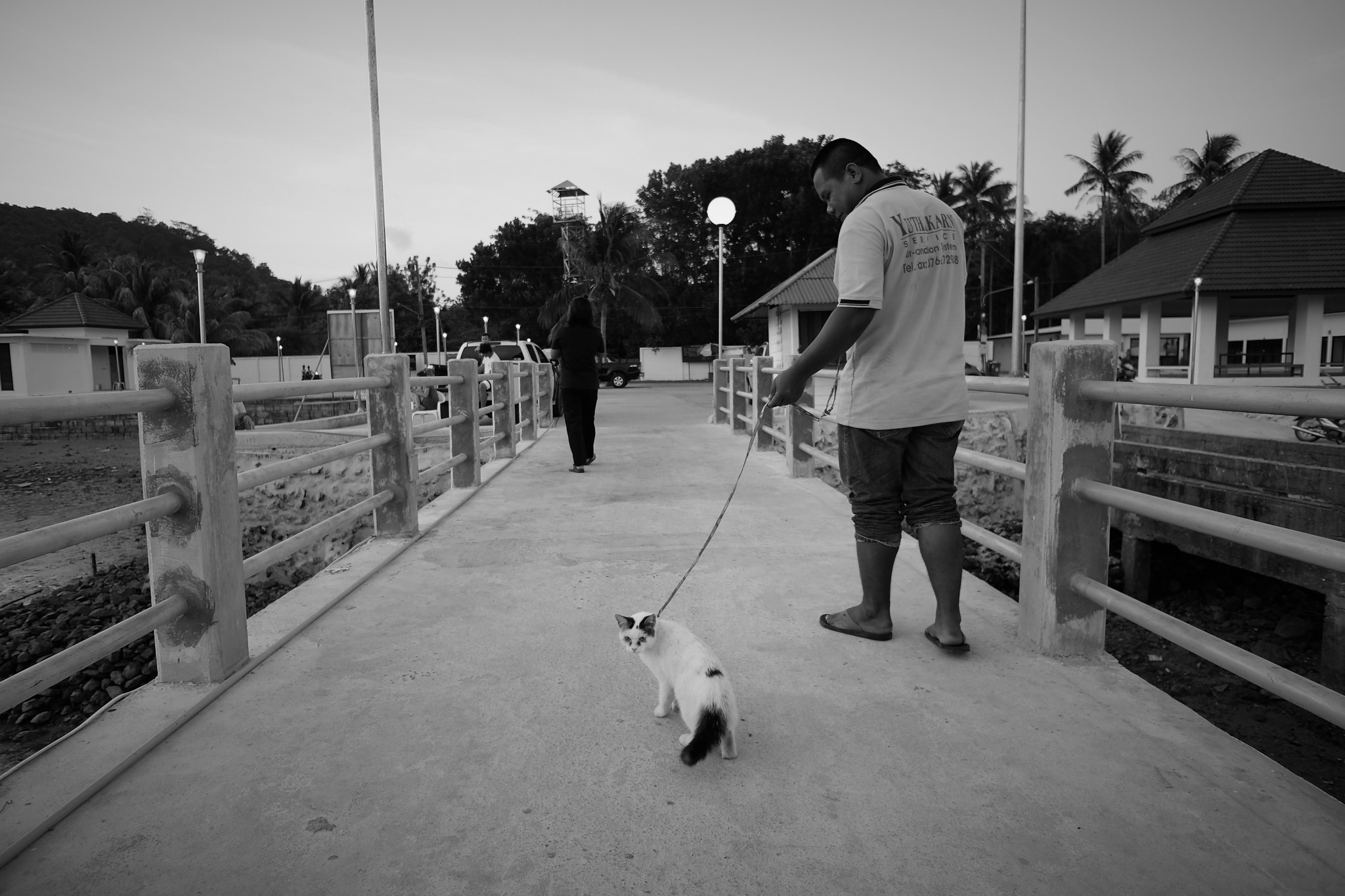 dscf95021 1.jpg