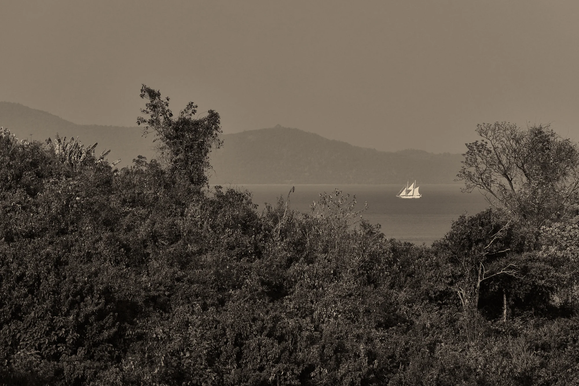 dscf8660 1.jpg