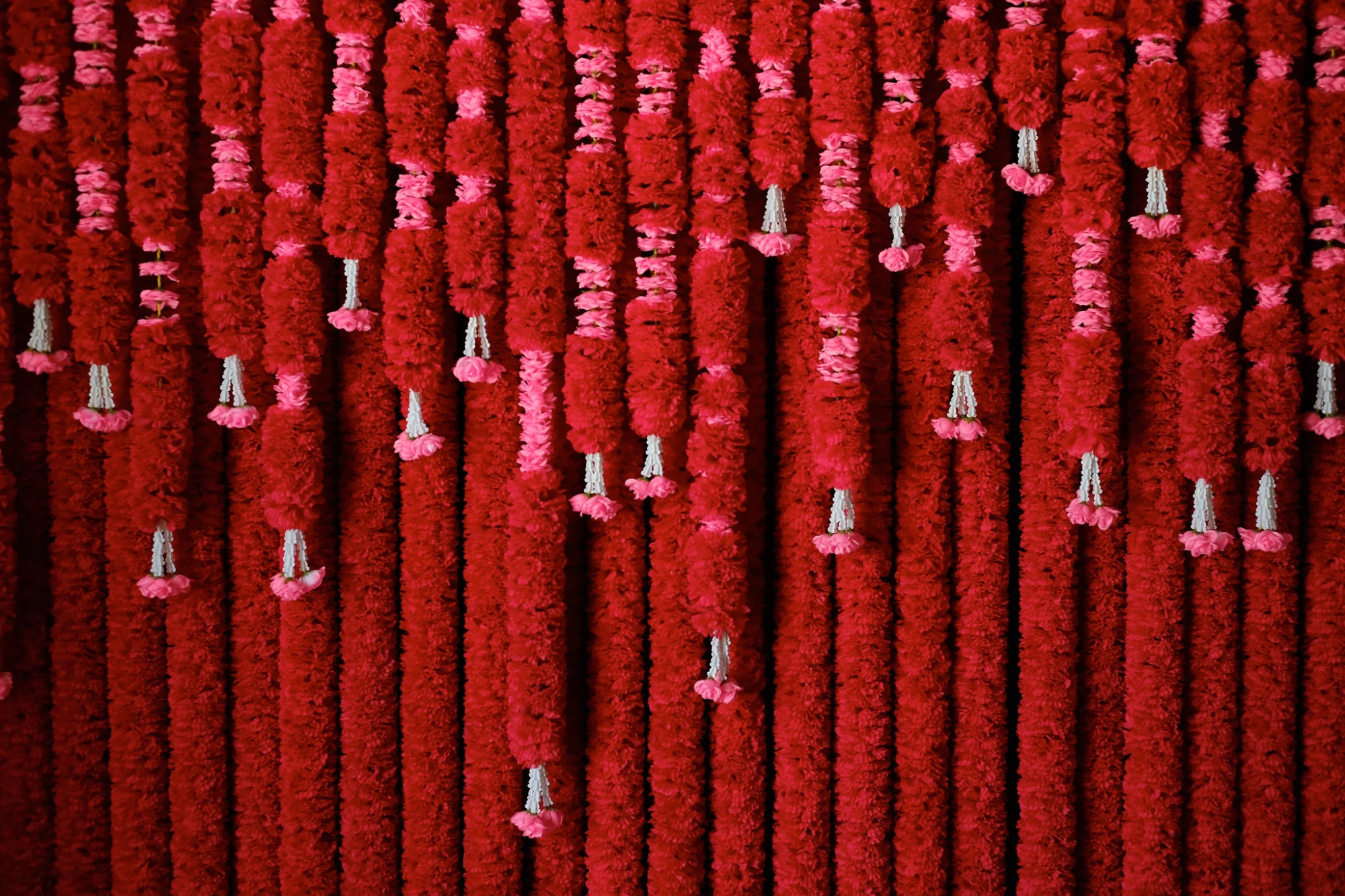 dscf0626.jpg