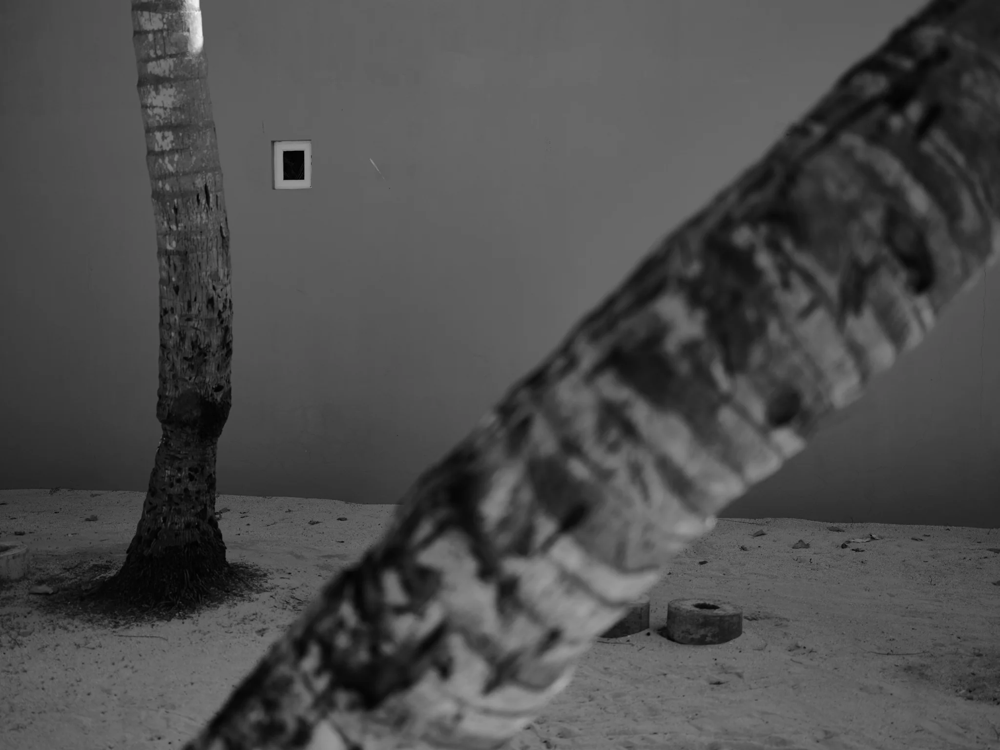 DSCF0763.jpg