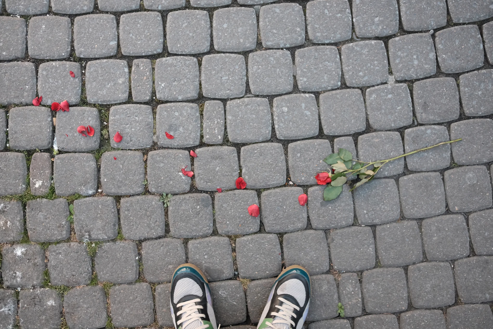 DSCF9107.jpg
