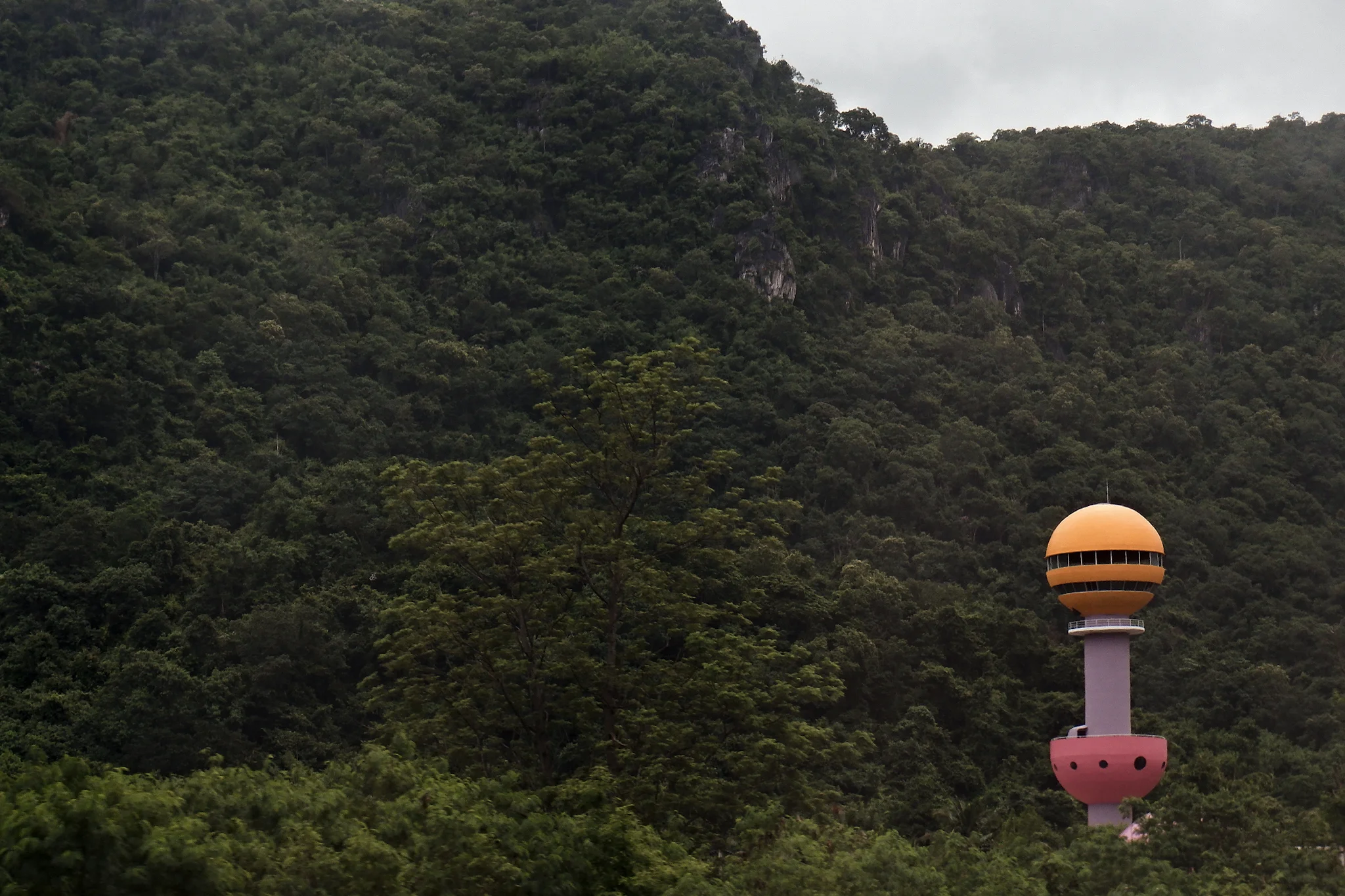 DSCF9885 2 1.jpg
