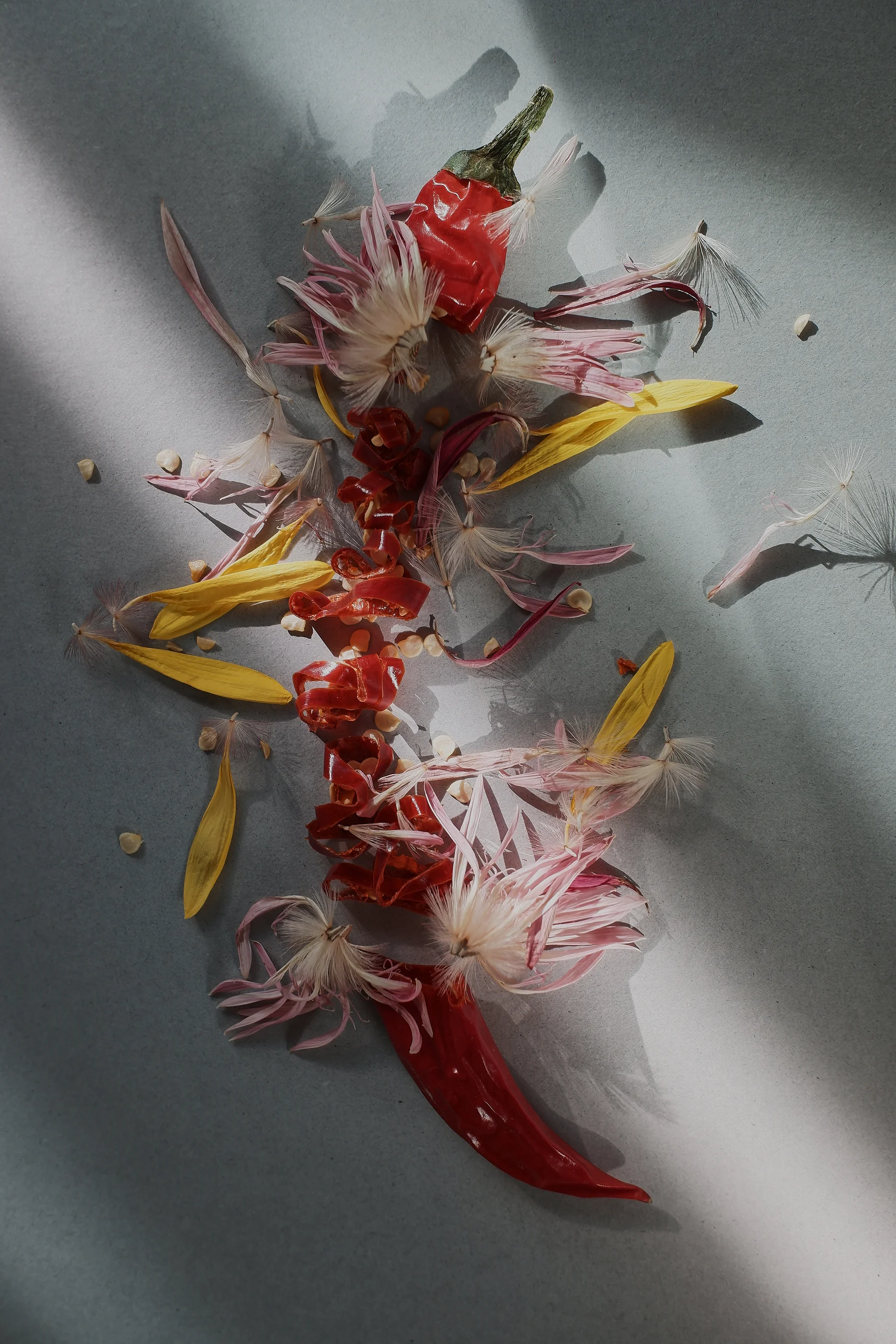 DSCF7548.jpg
