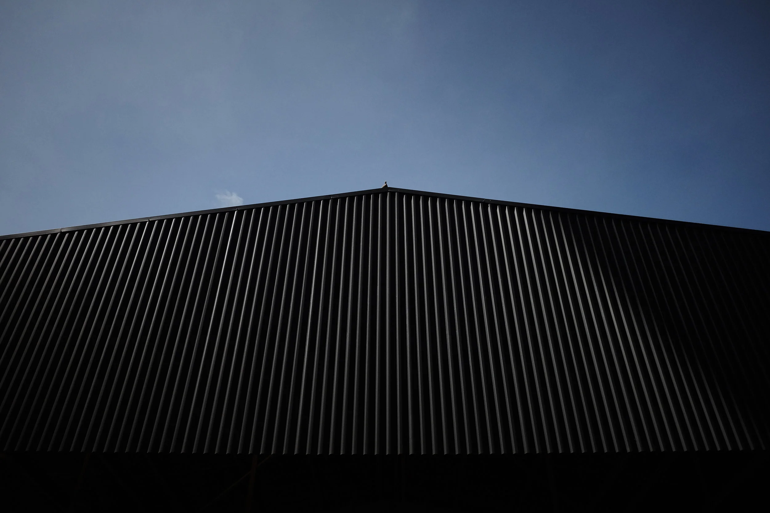 DSCF3746 1.jpg