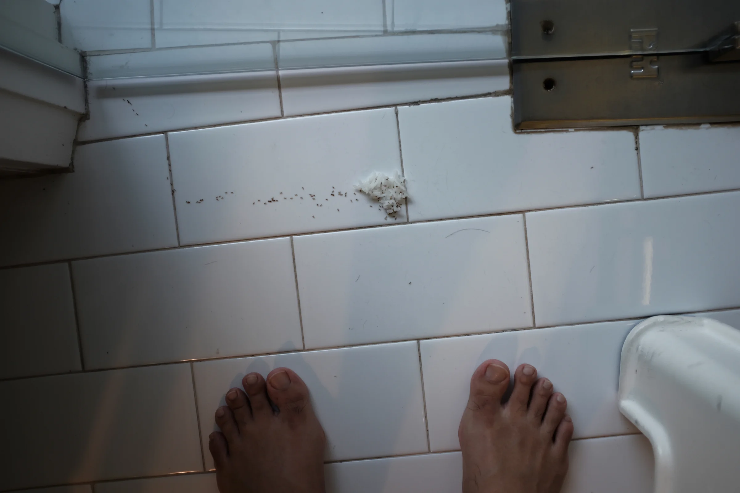 OINK5867a.jpg